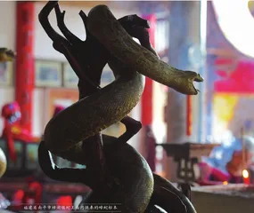 蛇入凡尘4