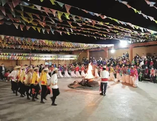 国宝小档案——蛇蛙铜俎4