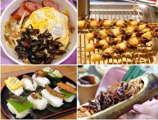 我们为什么爱吃酥脆食物?1