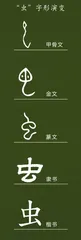 昆虫中的“蛇”（上）