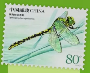 昆虫中的“蛇”（上）7