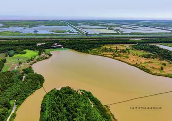 《聊斋志异》中的动物——“西湖主”扬子鳄3