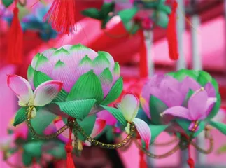 灯笼:鸿运当头 万千吉祥3