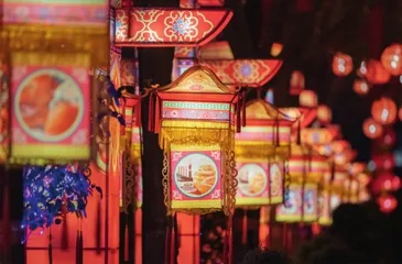 灯笼:鸿运当头 万千吉祥4