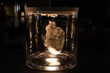 “幽灵心脏”