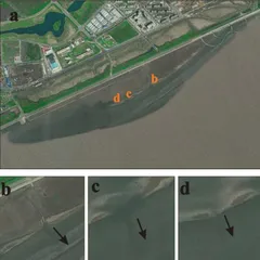 海边旅游警惕离岸流2