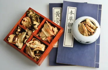 香橼:摘星供养,芬芳盈手4