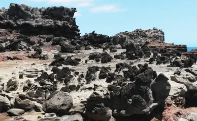 夏威夷海岸：檀岛魅影3