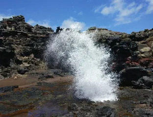 夏威夷海岸:檀岛魅影5