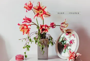 郁金香——美丽背后暗藏的危机