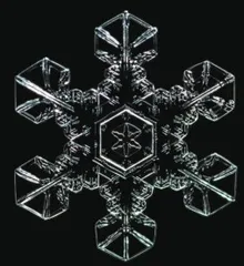 雪花为何被称为“六出”之花