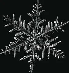 雪花为何被称为“六出”之花1