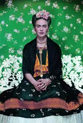 蓝房子:弗里达的宇宙1