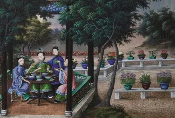通脱木:依势作花赛荼蘼4