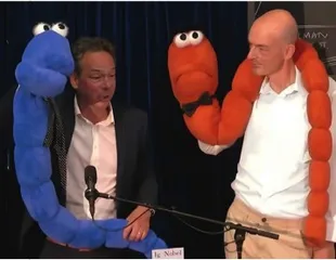 搞笑但不可笑 2024年搞笑诺贝尔奖出炉2