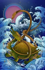 跌下神坛的龟