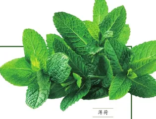 镇痛,请找食物帮忙3