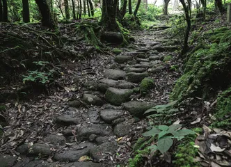 “人类禁区”哀牢山4