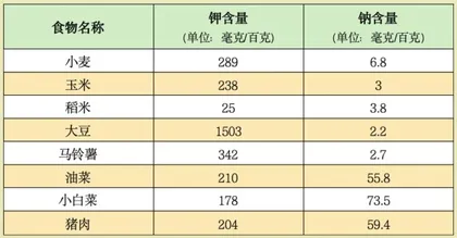 为何运动饮料中钠钾含量各不同