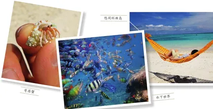晚霞 大海 萤火虫 这才是沙巴的正确打开方式