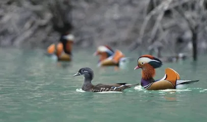 石阡,温泉之城 夜郎古郡2