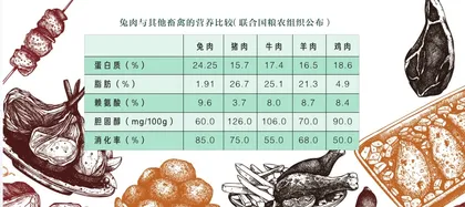 兔肉,适合所有人的“健康肉”1