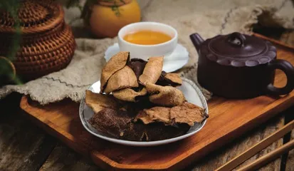“中国侨乡”话江门1