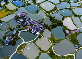 “中国侨乡”话江门6