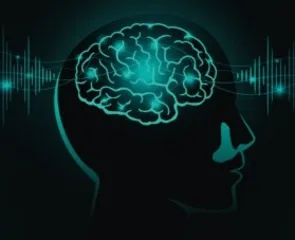 科学家找到让大脑保持年轻的方法