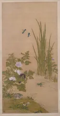 蜻蜓豆娘一家亲2