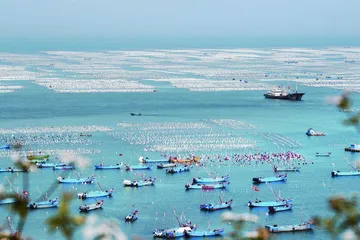 舟山归来不看岛3