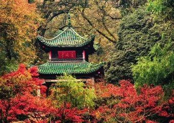 橘子洲:无可争议的“中国第一洲”6