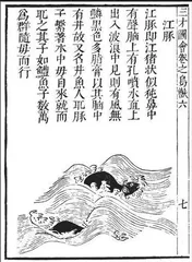 国宝小档案——江豚形陶壶2