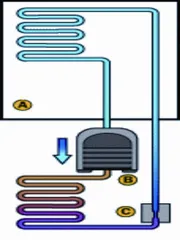 冬奥会里的趣味科学6