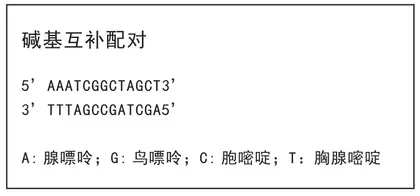 RNA:药物开发的“新钥匙”2