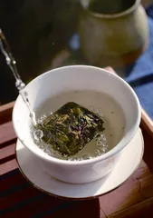 春游永福 樱花雨中烹新茗5