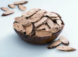 冬不藏精,春必病温1