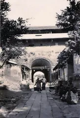 逛花市，贺新春3