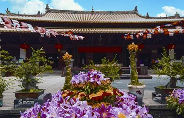 逛花市,贺新春4