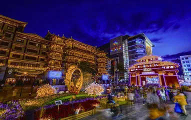 逛花市,贺新春5