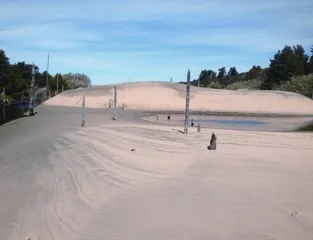 流沙却步,一场跨世纪的生态实验(上)2