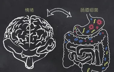 肠道菌群能影响人的行为吗