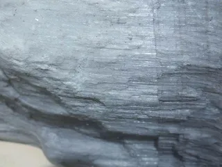 花开不败“沙漠玫瑰”