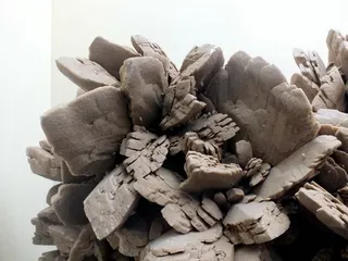 花开不败“沙漠玫瑰”5