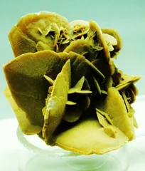 花开不败“沙漠玫瑰”6