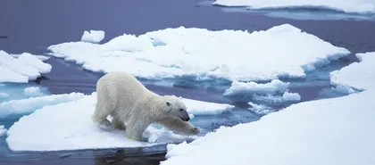 气候变暖重塑北极