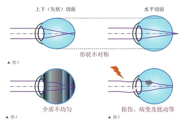 美好生活,离不开能看见美的视力4
