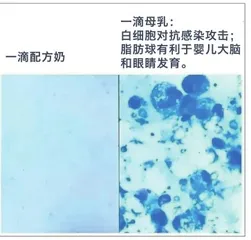 “37℃的爱”:以母乳呵护生命1
