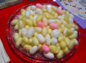 《诗经》里走出来的昆虫3