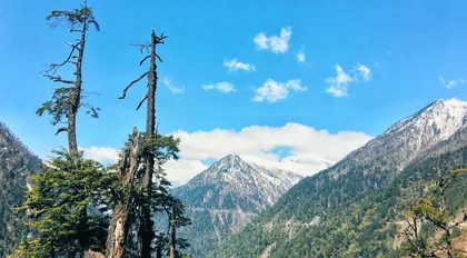 高黎贡山：世界物种基因库
